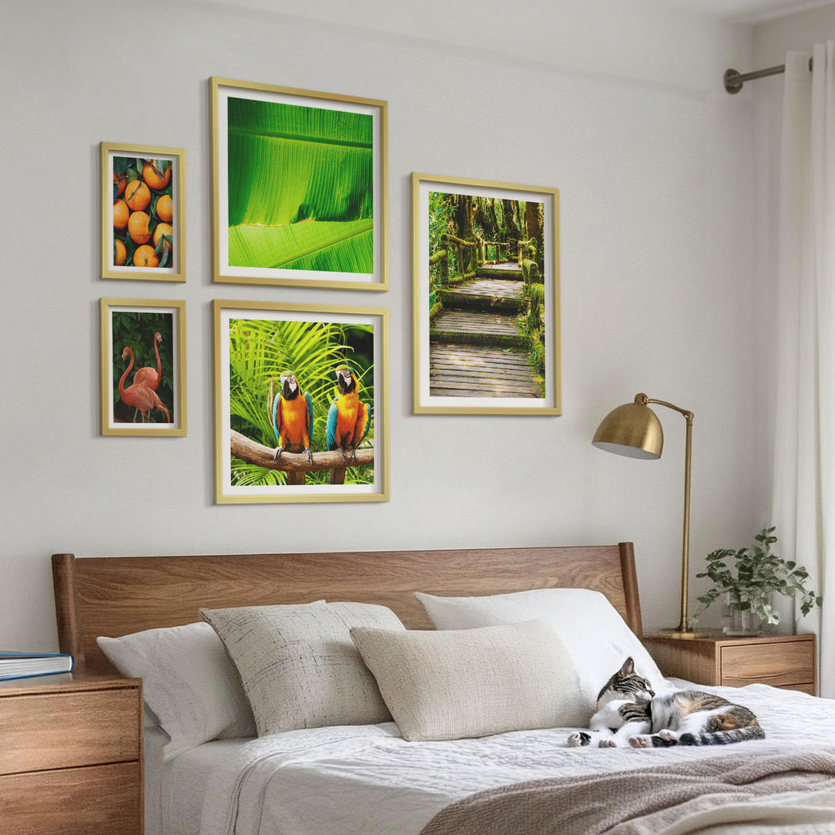 WANDBILDER 5er Set - 50x50 cm & 20x30 cm & 40x60 cm Goldrahmen - Fruchtige Akzente der Tropen - Goldfarben, Kunststoff (40/60cm) - ArtPrintCave