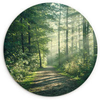 WANDBILD Wald - Weg - Sonne - Bäume - Grün - Natur 30x30 cm - Waldgrün, Kunststoff (30/30cm) - MuchoWow