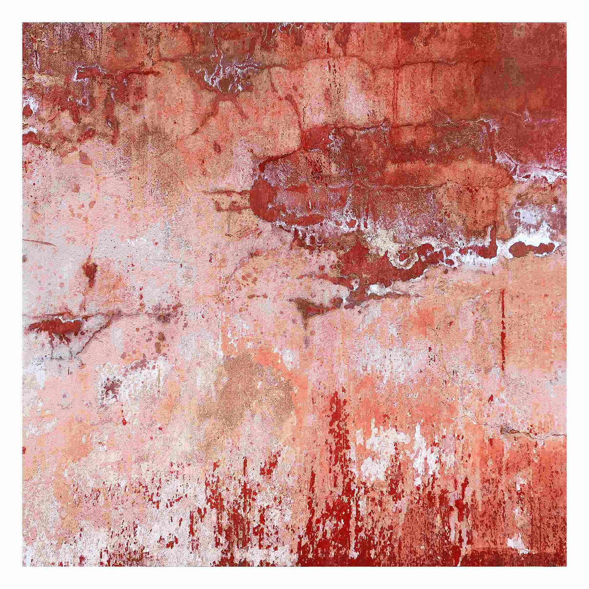 FOTOTAPETE Grunge Betonwand Rot 240/240 cm - Rot, Papier (240/240cm) - Bilderwelten