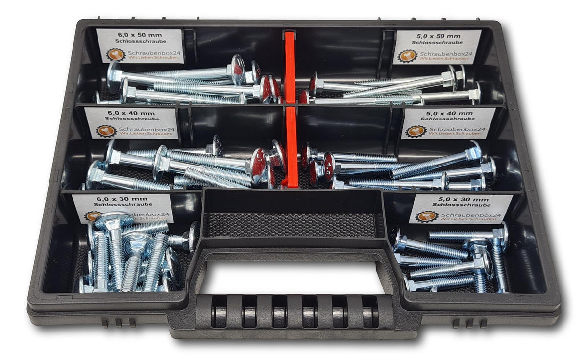 FLACHKOPFSCHRAUBEN Sortiment M5-M6 // 30mm-50mm 60 tlg. Schraubenbox DIN 603 - Zinkfarben, Metall (3.5cm) - Schraubenbox24
