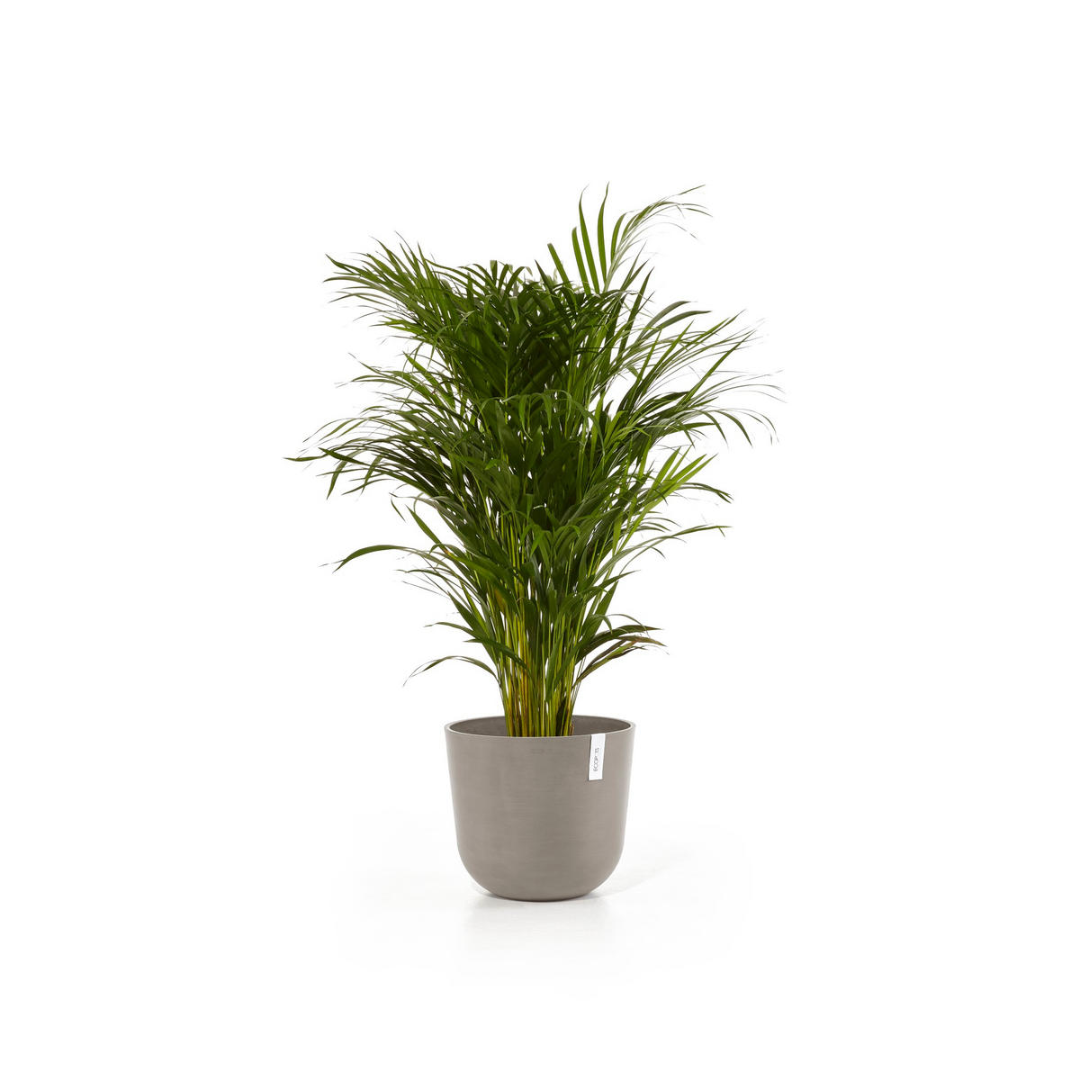 BLUMENTOPF mit Wasserreservoir Oslo 35/30,5 cm Taupe - Taupe, Kunststoff (35/30.5cm) - Ecopots