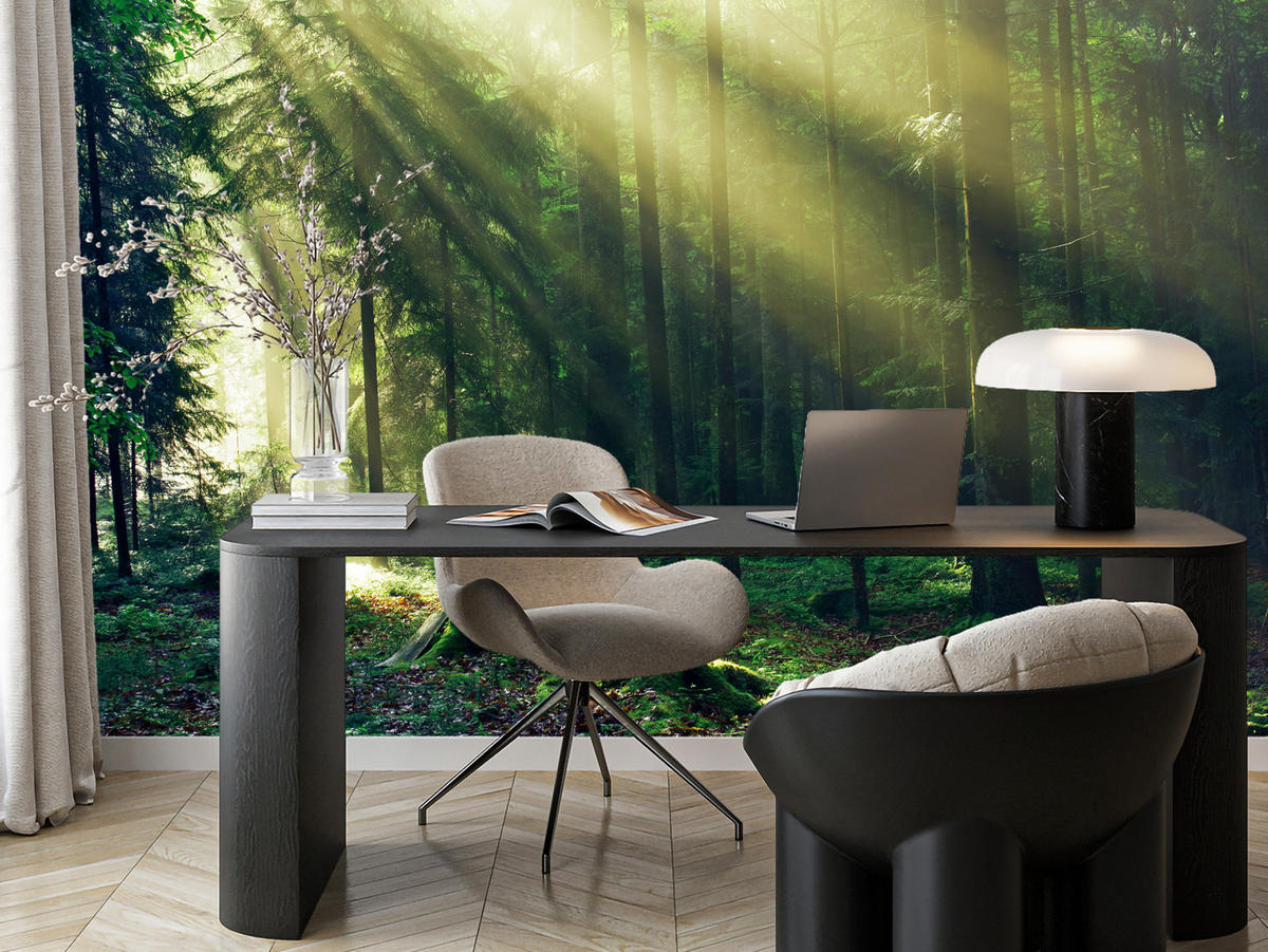 FOTOTAPETE für Schlafzimmer Sonnenaufgang Wald Bäume Moos 250x175 - Gelb/Braun, Papier (250/175cm) - Muralo