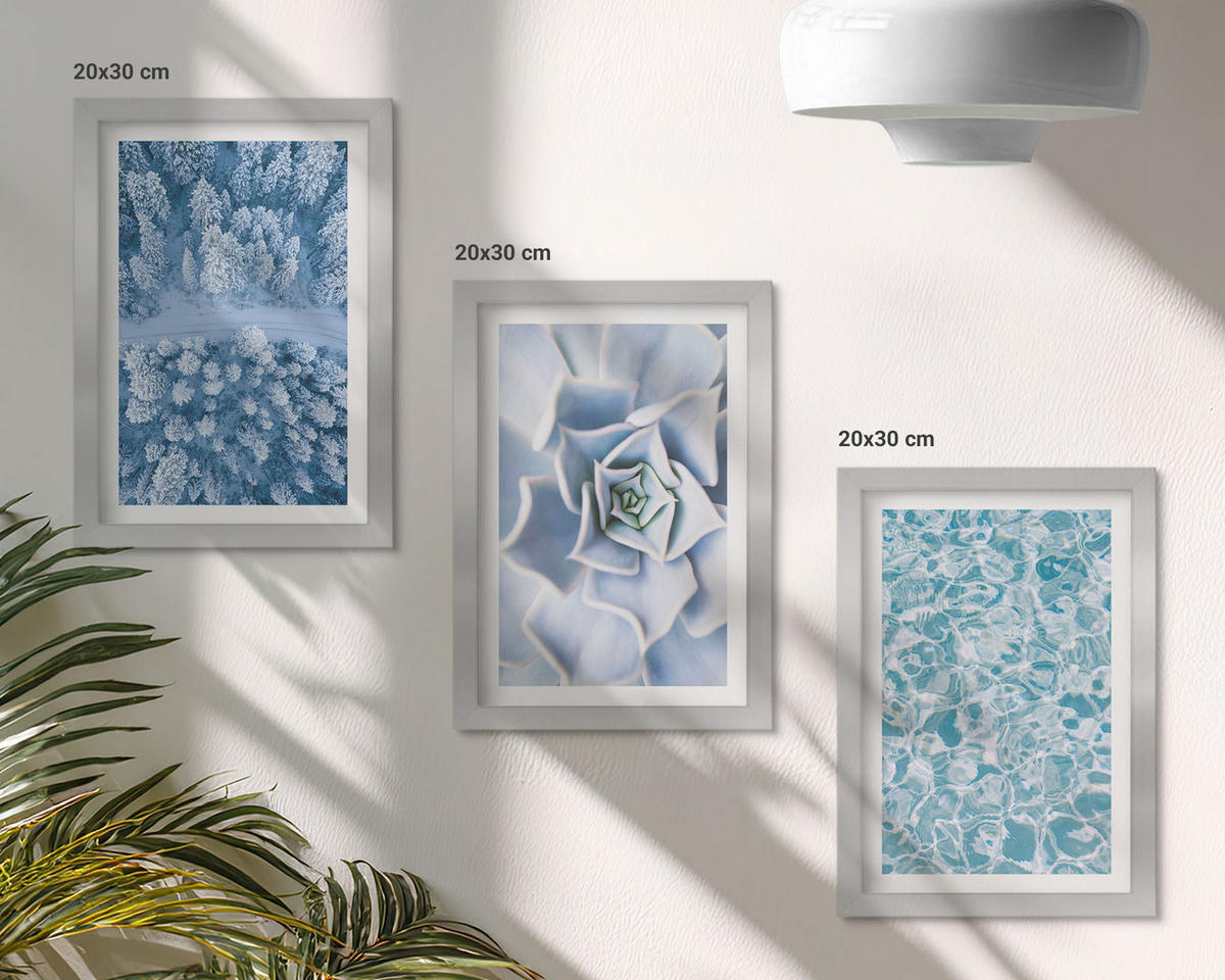 WANDBILDER 3er Set - 20x30 cm Silberner Rahmen - Winterwald blaue Blume Wasser - Silberfarben, Kunststoff (20/30cm) - ArtPrintCave