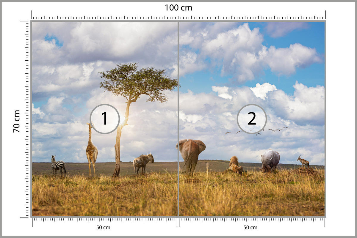 FOTOTAPETE für Kinderzimmer Safari Tiere Elefant Giraffe Löwe 100x70 - Beige/Braun, Papier (100/70cm) - Muralo