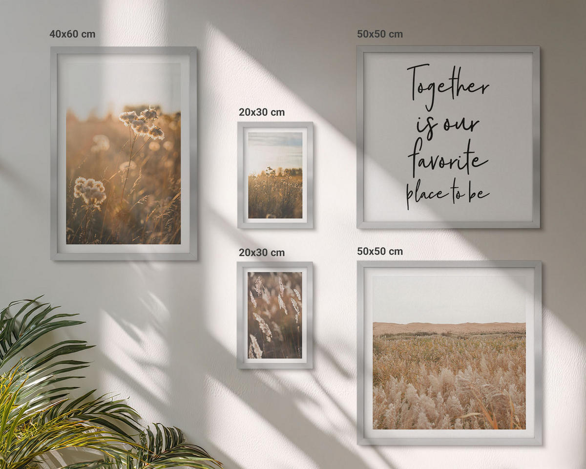 BILDER SET 5er Set - 50x50 cm & 20x30 cm & 40x60 cm Silberner Rahmen - Landschaftsgrasblumen Wärme - Silberfarben, Kunststoff (40/60cm) - TULUP