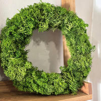 TROCKENBLUMEN Isländischer Reindeermooskranz - Weiß, Naturmaterialien (6cm) - Lykke & You