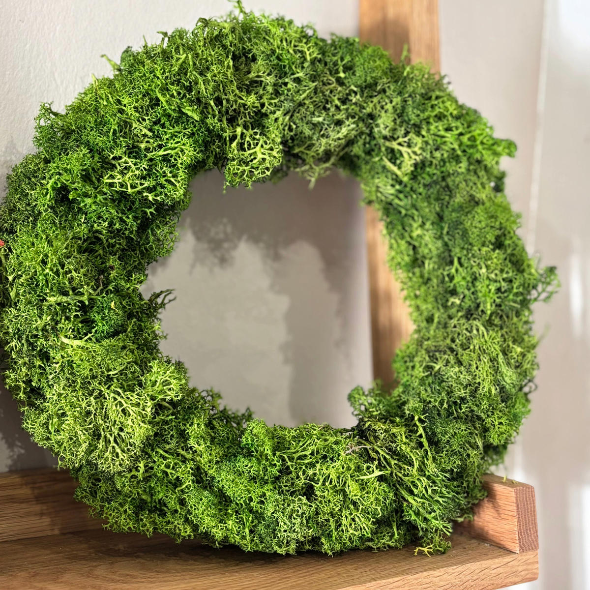 TROCKENBLUMEN Isländischer Reindeermooskranz - Weiß, Naturmaterialien (6cm) - Lykke & You