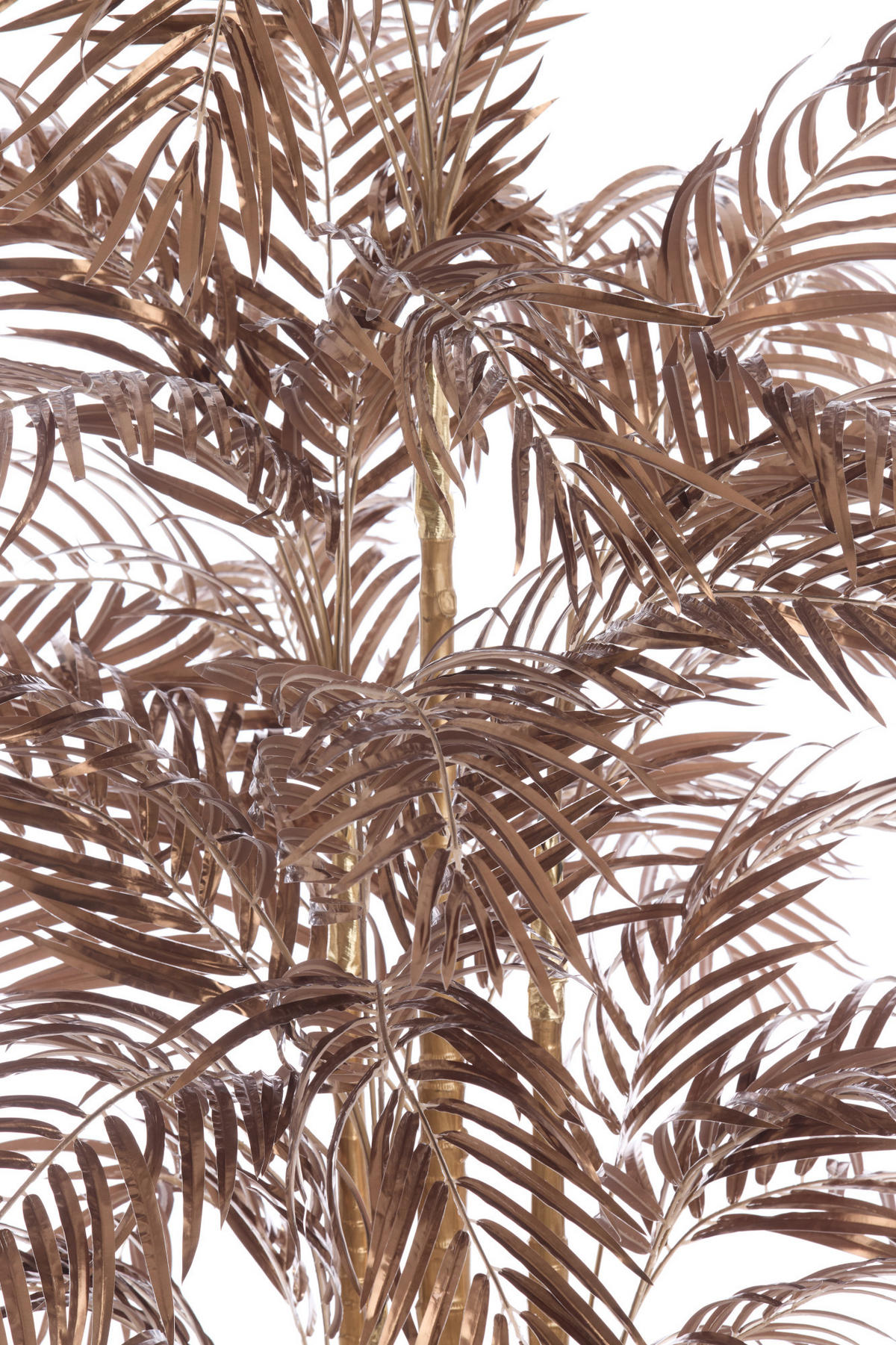 TOPF Palme Bronze 198/160/198 cm - Bronzefarben, Kunststoff (198cm) - Light & Living