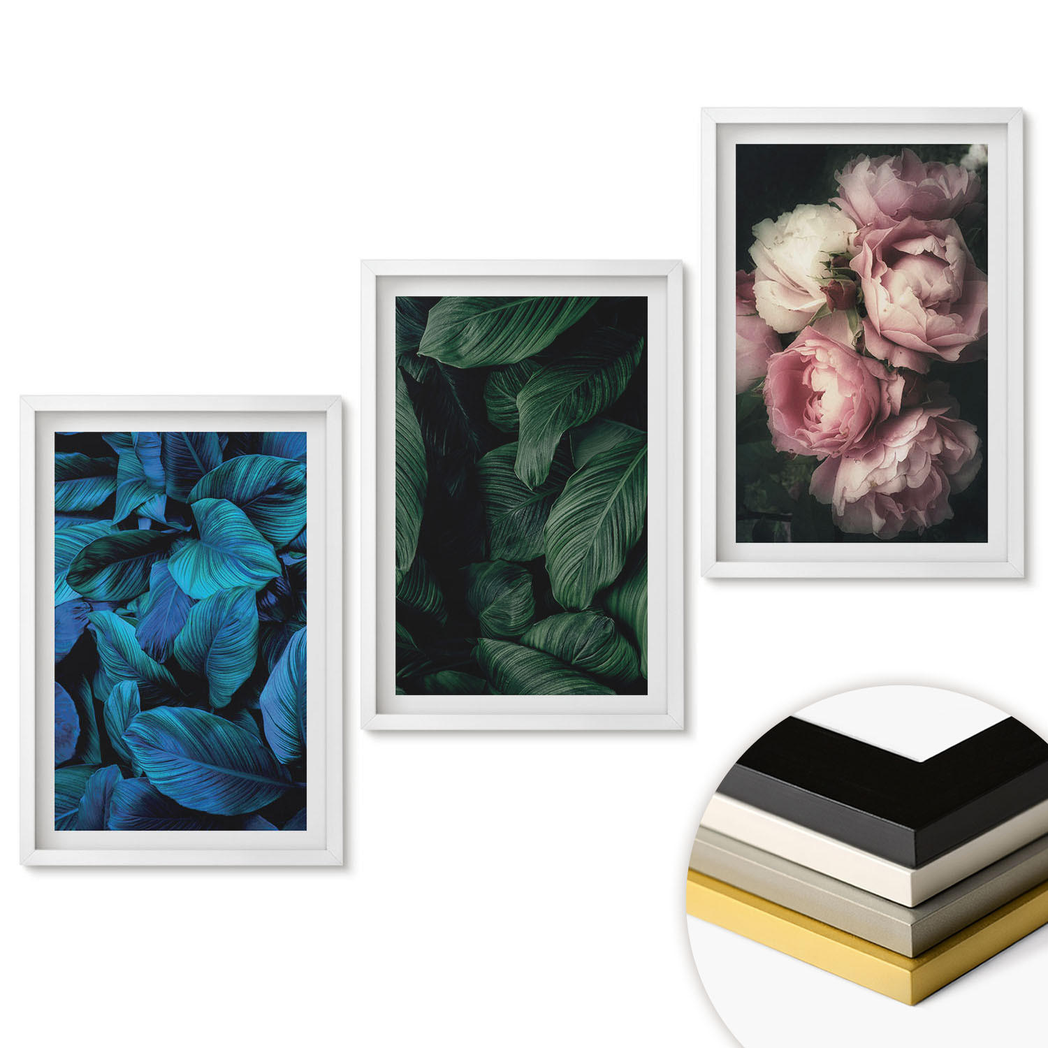 WANDBILDER 3er-Set - 40x60 cm Weißer Rahmen - Blätter, Blüten, verschiedene Farben - Weiß, Kunststoff (40/60cm) - ArtPrintCave