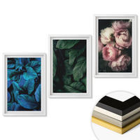 WANDBILDER 3er-Set - 40x60 cm Weißer Rahmen - Blätter, Blüten, verschiedene Farben - Weiß, Kunststoff (40/60cm) - ArtPrintCave