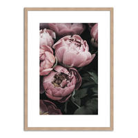 POSTER mit Rahmen 50x70 cm Pfingstrosen Rosé - Rosa, Holz (51/71cm) - artissimo