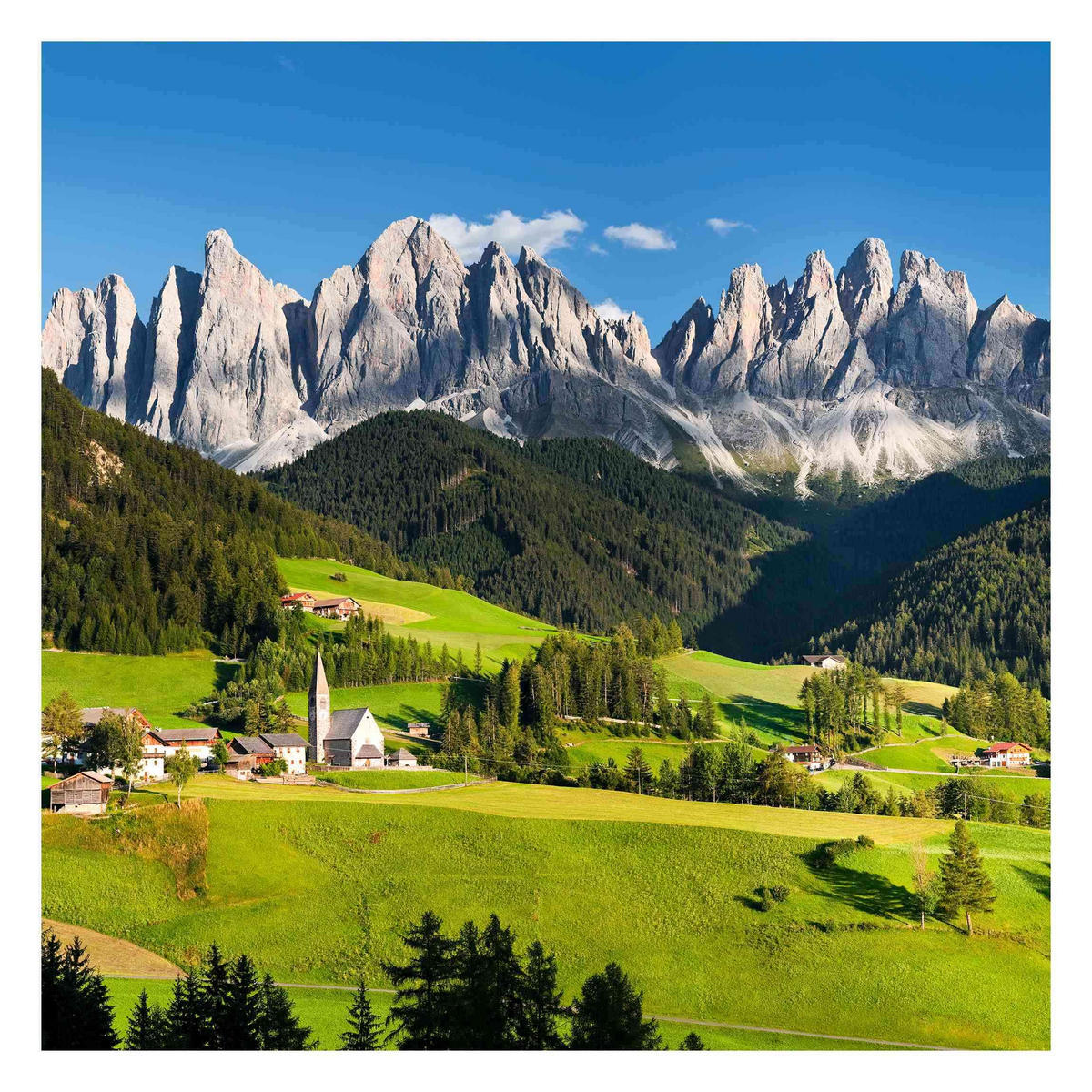 FOTOTAPETE Geislerspitzen in Südtirol 240/240 cm - Grün, Papier (240/240cm) - Bilderwelten