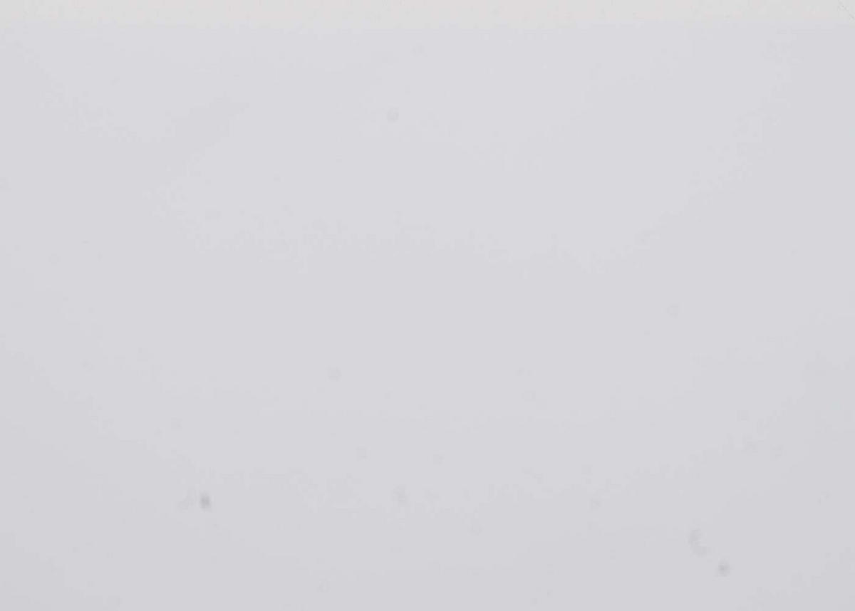 WANDREGAL Weiß - Weiß, Holz (40/40/13cm) - MCW