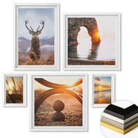 WANDBILDER 5er-Set - 50x50 cm & 20x30 cm & 40x60 cm Weißer Rahmen - Blätter des Weißen Tigerwasserfalls - Weiß, Kunststoff (40/60cm) - ArtPrintCave