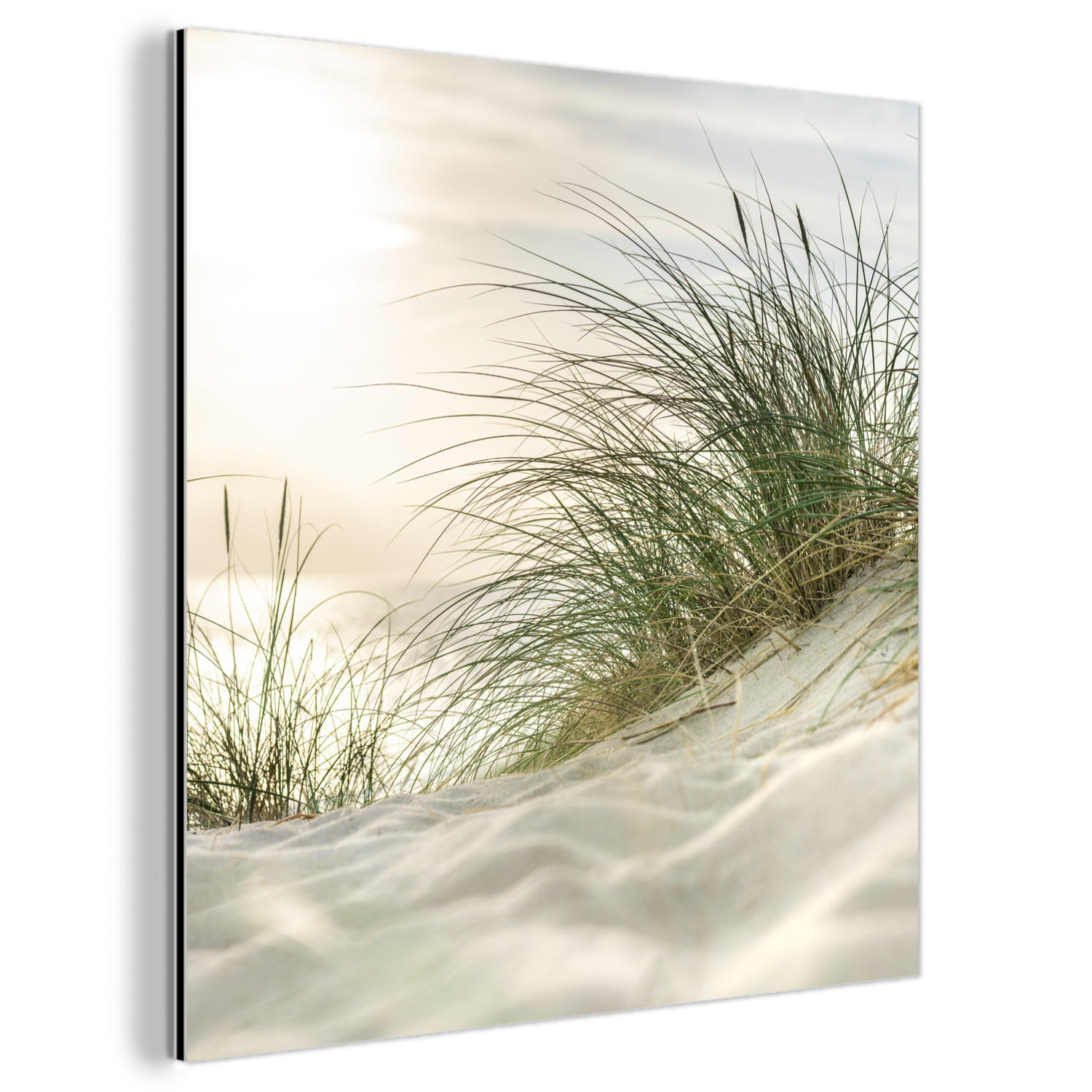 METALLBILD Dünen mit Strandhafer in der Sonne des Nationalparks Schleswig-Holsteinisches Wattenmeer 20x20 cm - Creme, Metall (20/20cm) - MuchoWow