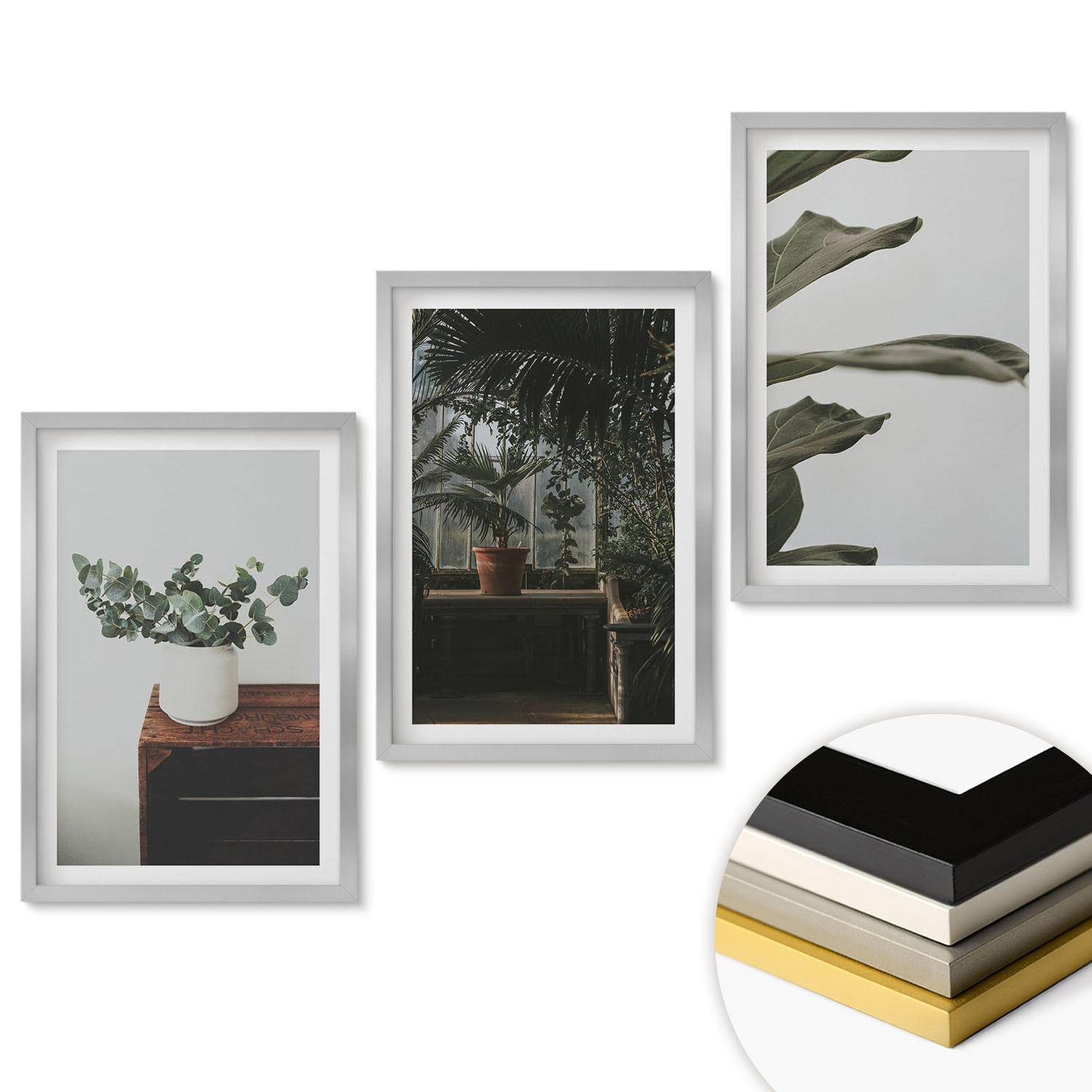 WANDBILDER 3er Set - 40x60 cm Silberner Rahmen - Rustikale Topfpflanzen - Silberfarben, Kunststoff (40/60cm) - ArtPrintCave