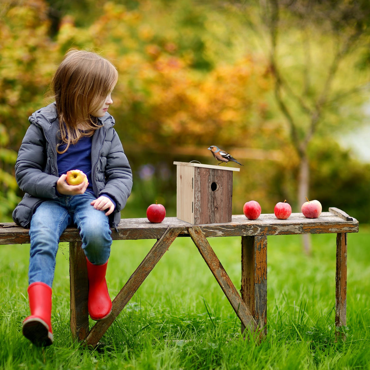 NISTKASTEN - Braun, Holz (16.5/20/16.5cm) - Relaxdays