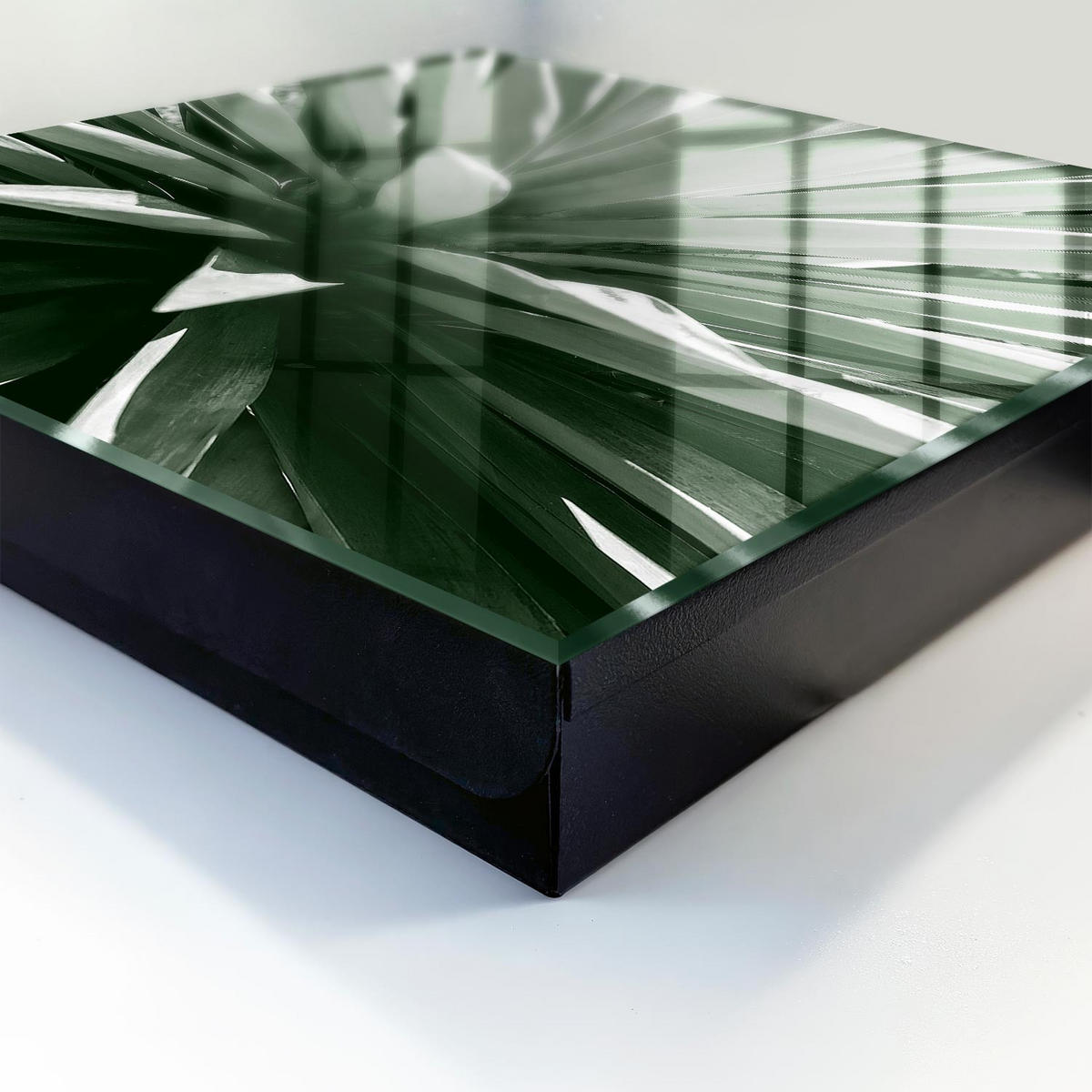 SCHLÜSSELBOX Schwarz 30x30 cm- Türöffnung nach rechts - Agave - Multicolor, Metall (30/30/5cm) - TULUP