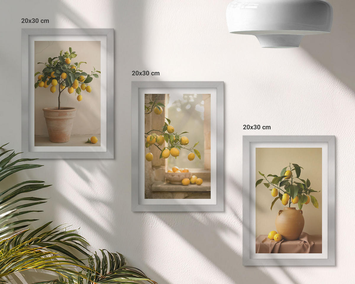 WANDBILDER 3er Set - 20x30 cm Silberner Rahmen - Zitronenbäume im Topf - Silberfarben, Kunststoff (20/30cm) - ArtPrintCave