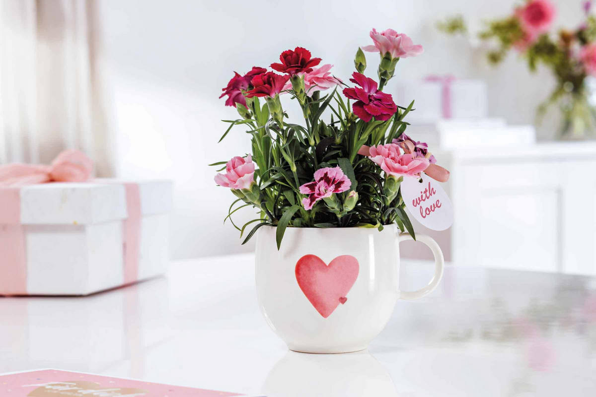 FRÜHSTÜCKSSET SENDING LOVE With Love weiß-rot 3er Set - Rot/Weiß, Keramik (1/1/1cm) - Villeroy & Boch