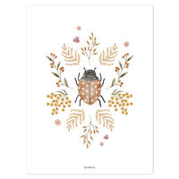 POSTER Marienkäfer 30 x 40 cm - Multicolor, Papier (30/1/40cm) - Lilipinso