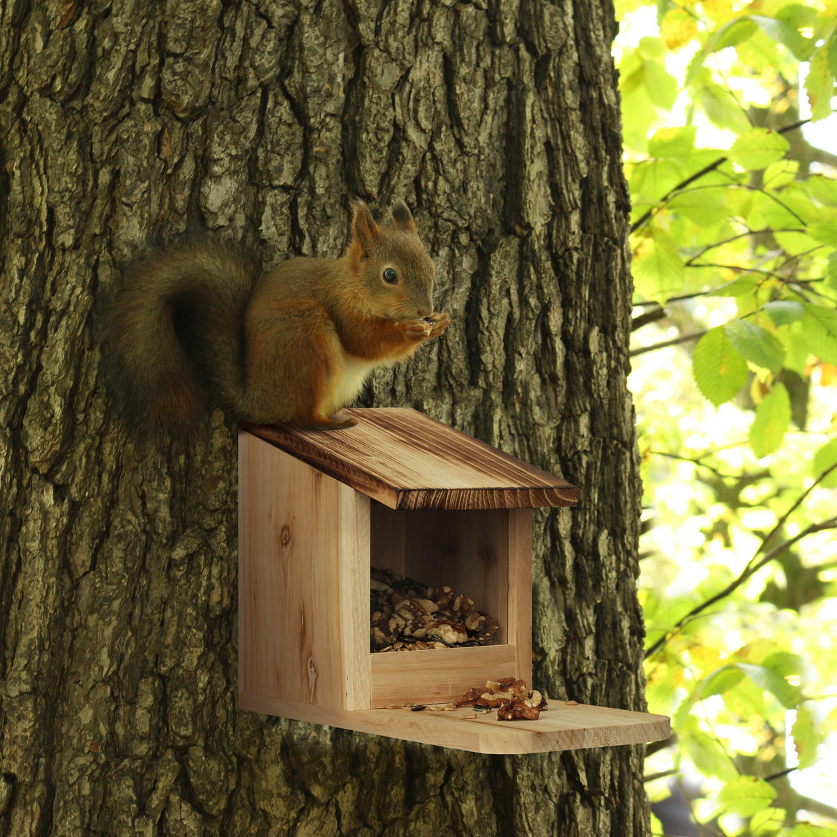 EICHHÖRNCHENFUTTERHAUS - Hellbraun, Holz/Kunststoff (12/17.5/25cm) - Relaxdays