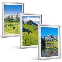 BILDER SET 3er Set - 40x60 cm Silberner Rahmen - Grüne Hügel mit einer Burg - Silberfarben, Kunststoff (40/60cm) - TULUP