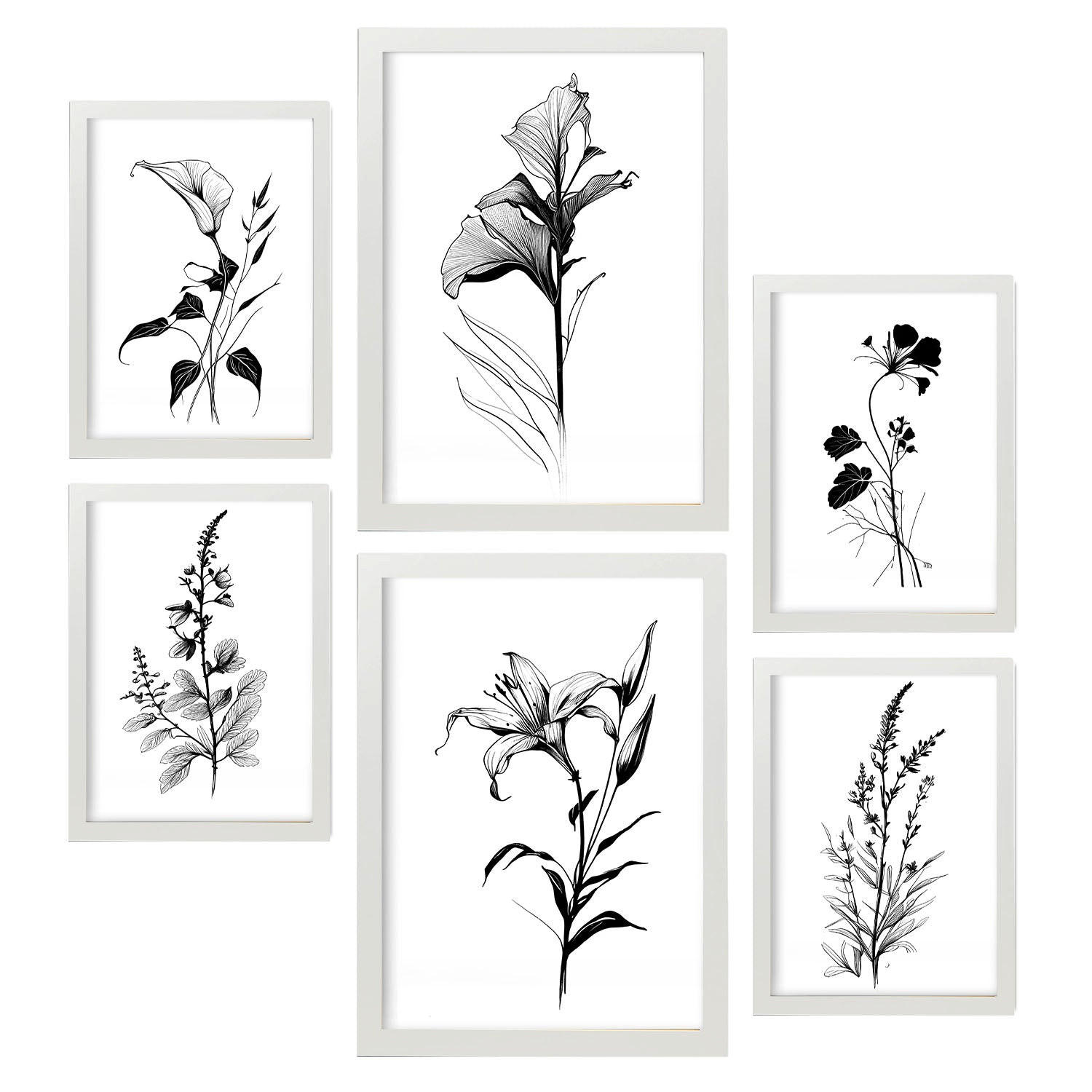 POSTER Set Mit 6 Ansteckblumen Natur Und Botanikdrucke Mit Blumenmotiven In Klassischem Schwarz Und Weiß Innenarchitektur A3 & A4 Weißer Rahmen - Weiß, Papier (29/3cm) - Nacnic