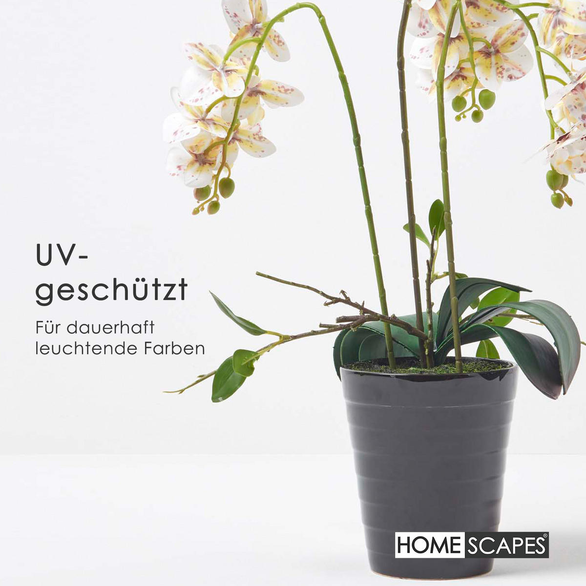 KUNSTBLUME Orchidee weiß-pink im Deko-Topf, 56 cm - Weiß, Kunststoff (56cm) - Homescapes