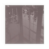 GLASPLATTE für Kamin 50x50 cm - Pink, Glas (50/50/0.4cm) - TULUP