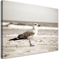 LEINWANDBILD Möwe Vogel Meer Strand Natur 90x60cm - Beige, Textil (90/60cm) - Feeby