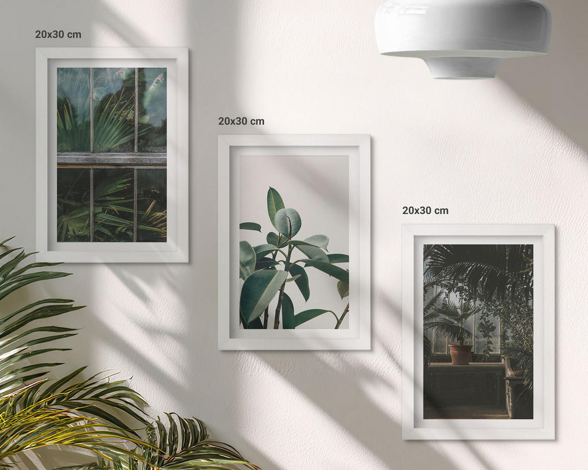 WANDBILDER 3er-Set - 20x30 cm Weißer Rahmen - Grüne Blätter an der Fensterpflanze - Weiß, Kunststoff (20/30cm) - ArtPrintCave