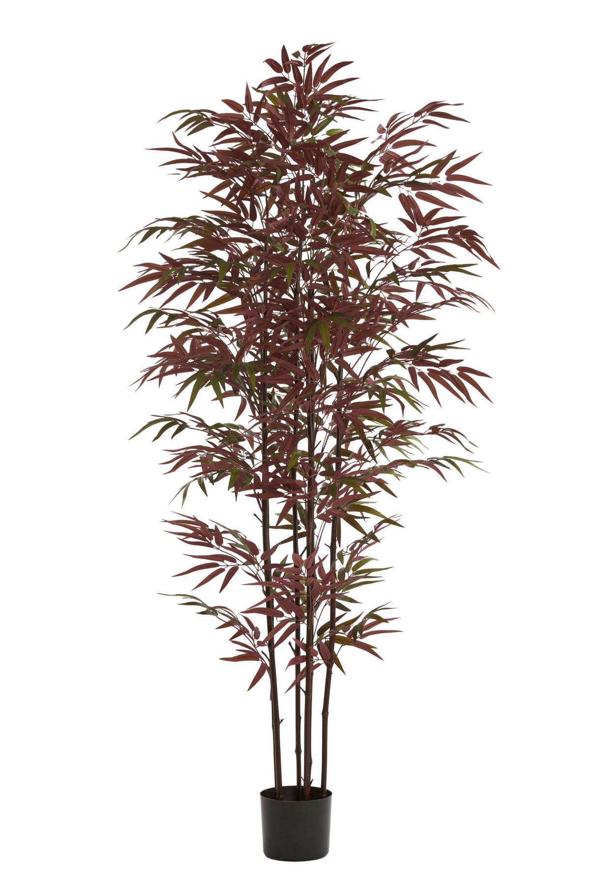 TOPF Bambus Grün 70/60/180 cm - Grün, Kunststoff (180cm) - Light & Living