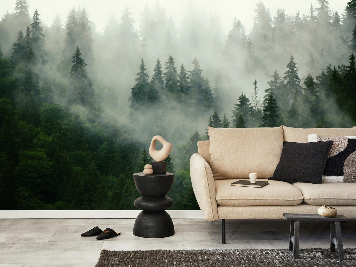 FOTOTAPETE Wald im Nebel Natur Landschaft 3D 450x315 - Grau/Grün, Papier (450/315cm) - Muralo