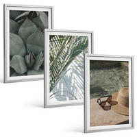 BILDER SET 3er Set - 40x60 cm Silberner Rahmen - Tropische Pflanzen für den Urlaub - Silberfarben, Kunststoff (40/60cm) - TULUP