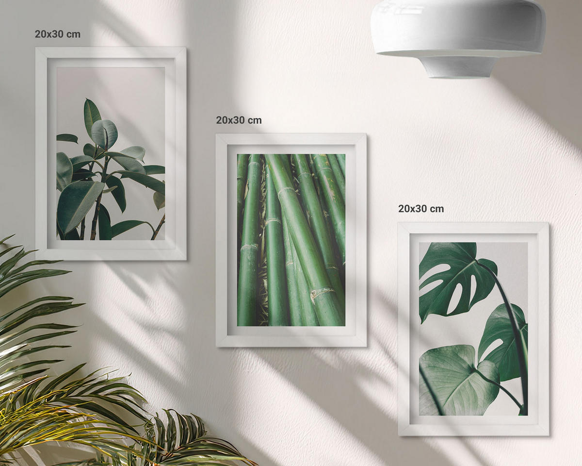 BILDER SET 3er Set - 20x30 cm Weißer Rahmen - Bambusstängel und Monstera-Blätter - Weiß, Kunststoff (20/30cm) - TULUP