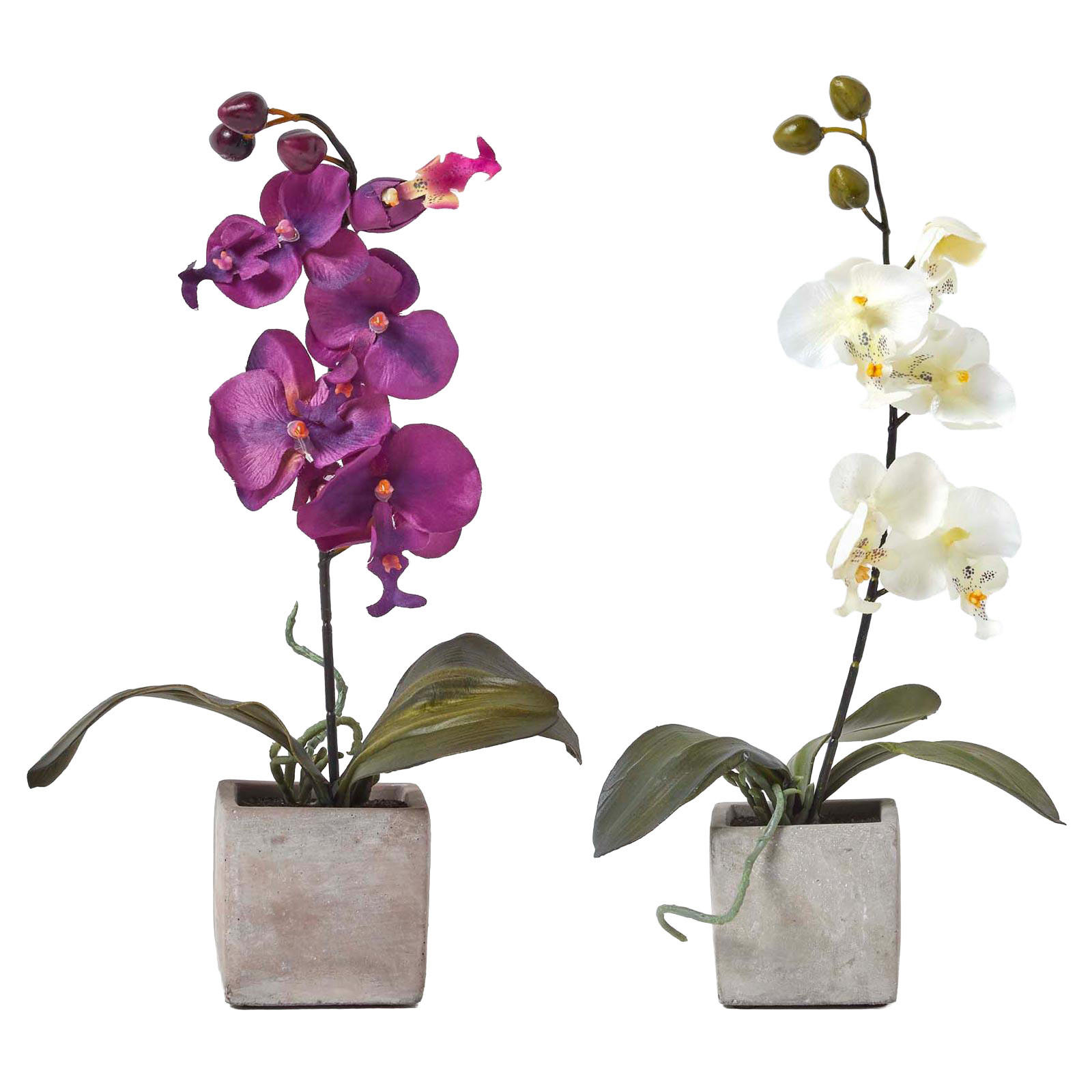 KUNSTBLUMEN 2er-Set Orchideen weiß & lila im Deko-Topf, 40 cm - Multicolor, Kunststoff (40cm) - Homescapes