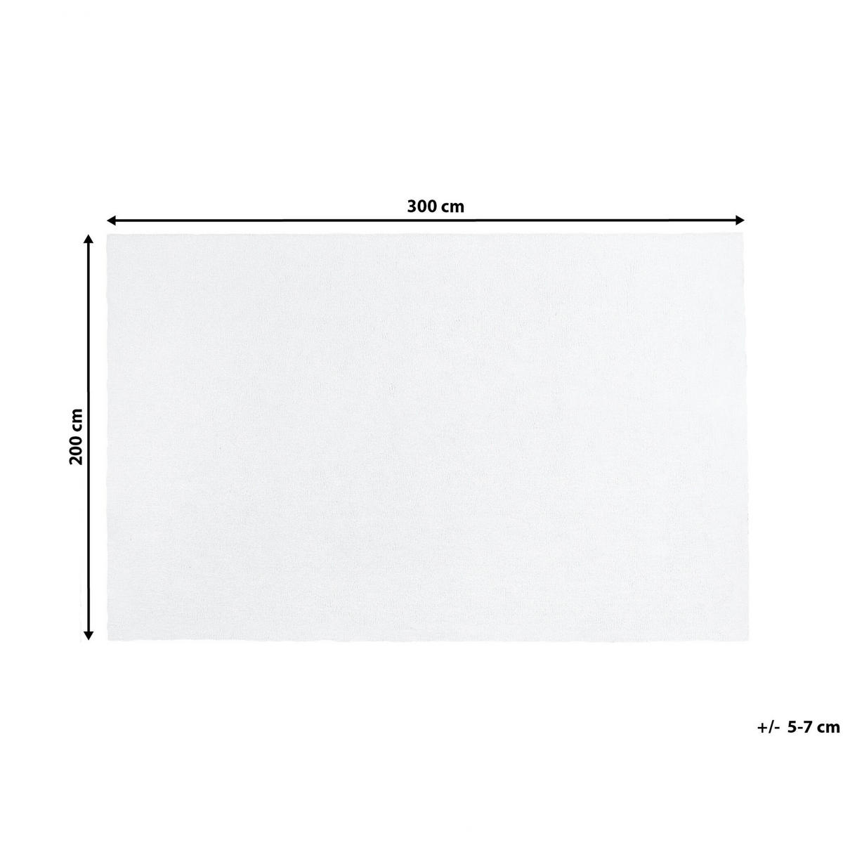 SHAGGY-TEPPICH Demre 300/200 cm - Weiß, Kunststoff (200/300cm) - Beliani