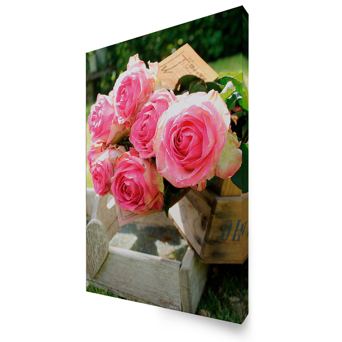 LEINWANDBILD Romantische Rosen 70x50cm - Rosa/Grün, Textil (70/1cm) - Art for the Home