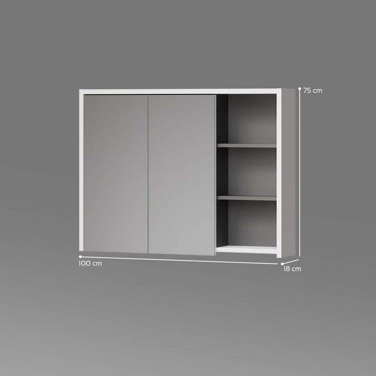 BADSPIEGELSCHRANK Vomano Weiß/Anthrazit 100 x 75 cm - Anthrazit/Weiß, Holzwerkstoff (100/75/18cm) - Livinity®