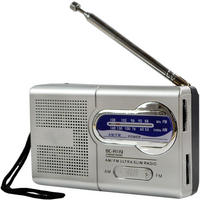 RADIO – FM/AM – Lautsprecher-/Kopfhöreranschluss/MP3 – Silbergrau - Grau, Kunststoff (9.5/5.9/2cm) - DCA