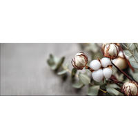 GLASBILD 80x30 cm Stillleben Natur - Beige, Glas (80/30cm) - artissimo