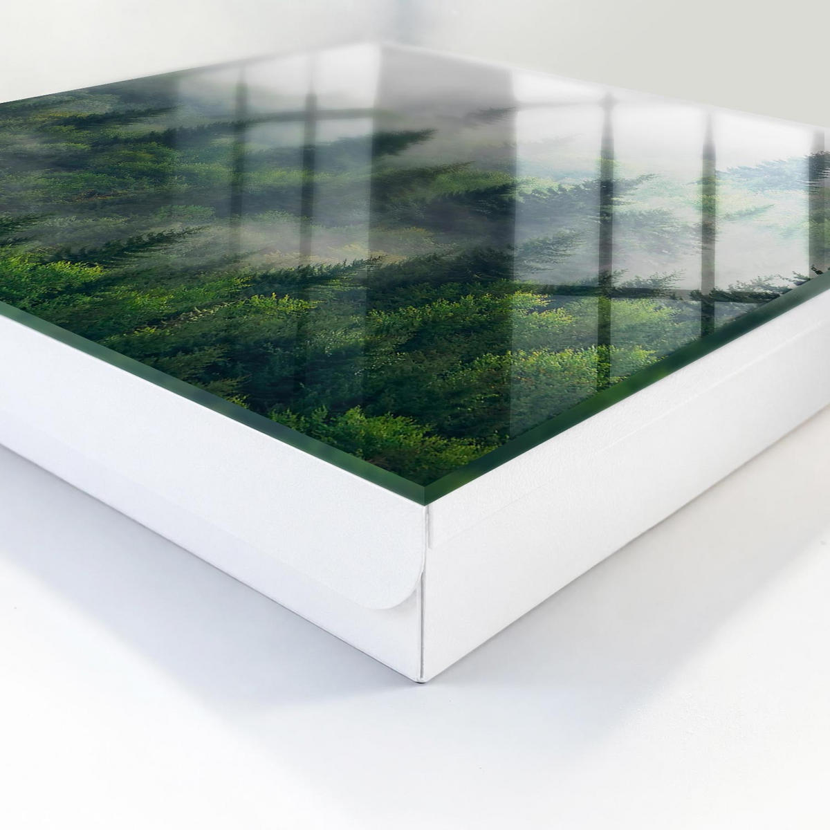 SCHLÜSSELBOX Weiß 30x30 cm – Türöffnung nach rechts - Nebelwald - Grün, Metall (30/30/5cm) - TULUP