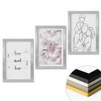 WANDBILDER 3er Set - 20x30 cm Silberner Rahmen - Blumenfamilie minimalistisch - Silberfarben, Kunststoff (20/30cm) - ArtPrintCave