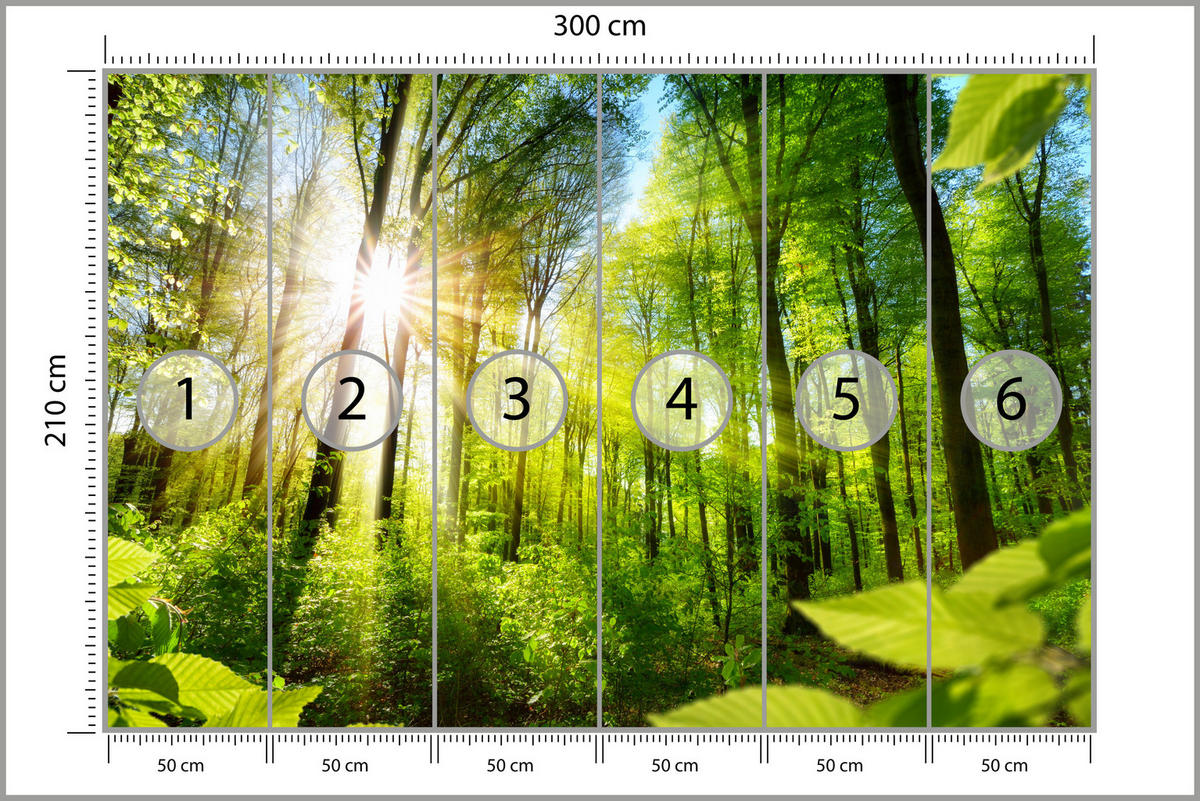 FOTOTAPETE für Wohnzimmer Sonnenaufgang zwischen Bäumen Wald 300x210 - Gelb/Grün, Papier (300/210cm) - Muralo