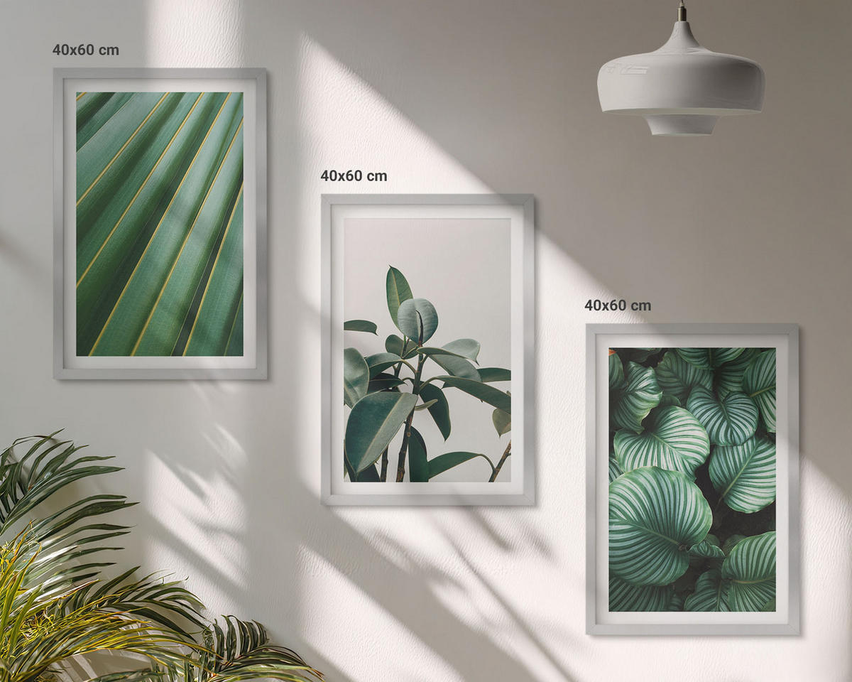 WANDBILDER 3er Set - 40x60 cm Silberner Rahmen - Ästhetische tropische Blätter - Silberfarben, Kunststoff (40/60cm) - ArtPrintCave
