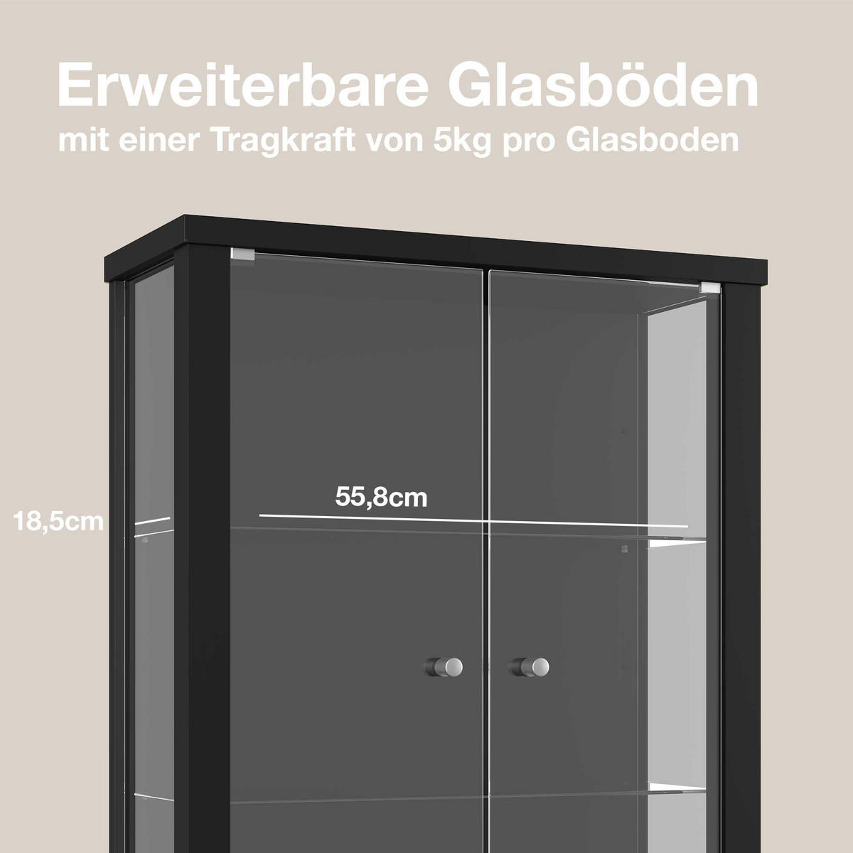HÄNGEVITRINE 25/60/80 cm mit 2 höhenverstellbaren Glasböden - Transparent/Silberfarben, Glas/Holzwerkstoff (60/80/25cm) - K-Möbel