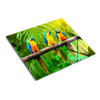 GLASPLATTE 60x52 cm Ein Zweig der Papageien - Limette, Glas (60/0.4cm) - TULUP