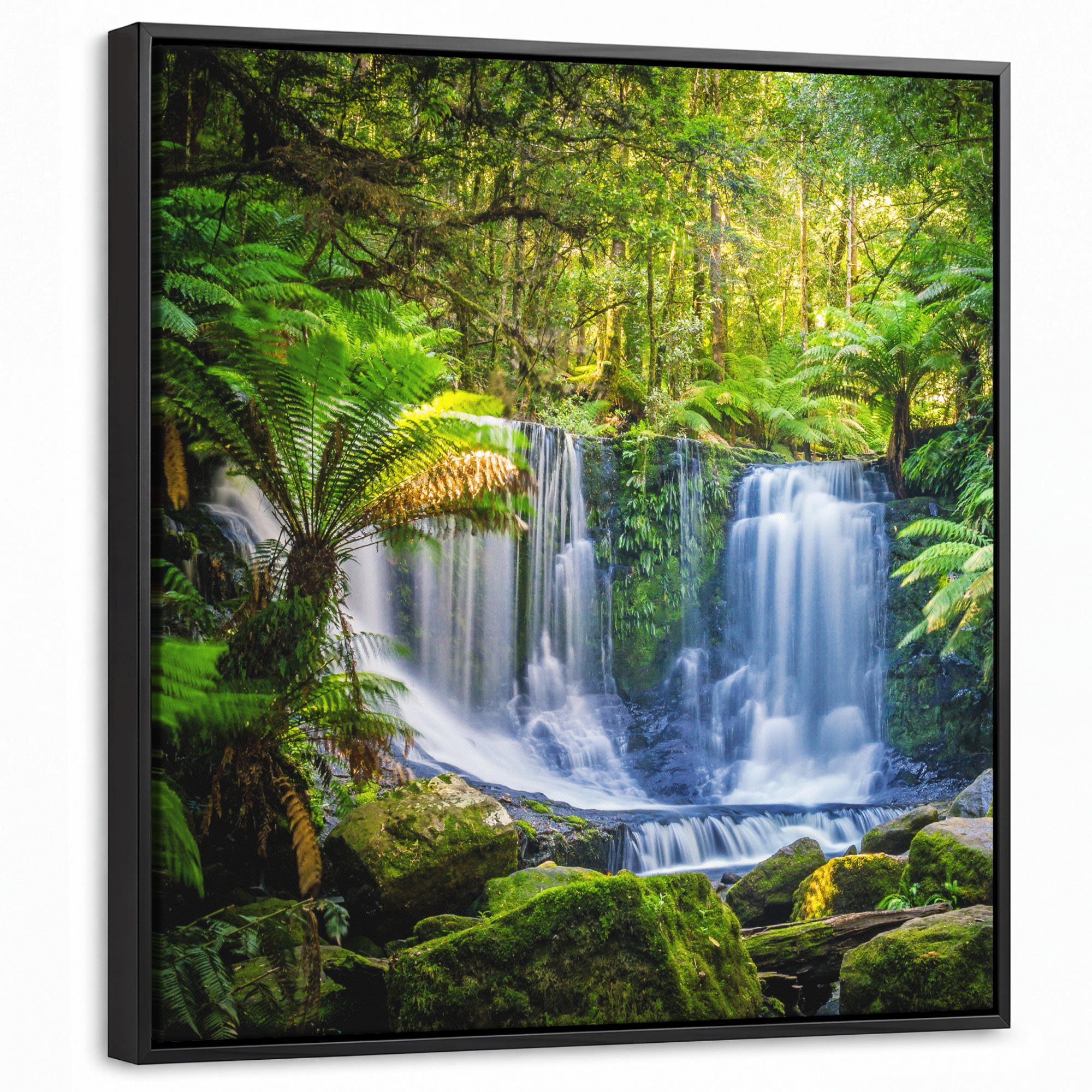 LEINWAND Bilder mit Rahmen - Dschungel - Wasserfall - Australien - Pflanzen - Natur - 50x50 - Dunkelgrün, Textil (50/50cm) - MuchoWow