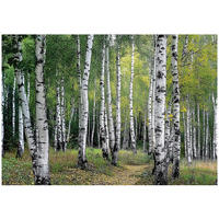 FOTOTAPETE 3D Effekt Wald Bäume Natur Tapete Wohnzimmer 350x250 - Multicolor, Papier (350/250cm) - Wallarena